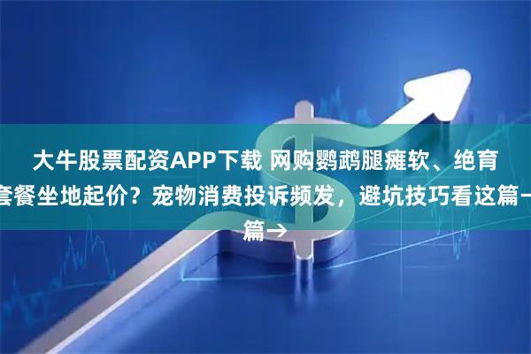 大牛股票配资APP下载 网购鹦鹉腿瘫软、绝育套餐坐地起价？宠物消费投诉频发，避坑技巧看这篇→