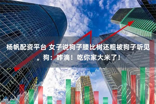 杨帆配资平台 女子说狗子腰比树还粗被狗子听见。狗：咋滴！吃你家大米了！
