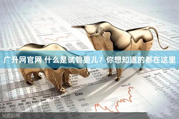 广升网官网 什么是试管婴儿？你想知道的都在这里