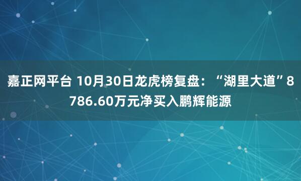 嘉正网平台 10月30日龙虎榜复盘：“湖里大道”8786.60万元净买入鹏辉能源